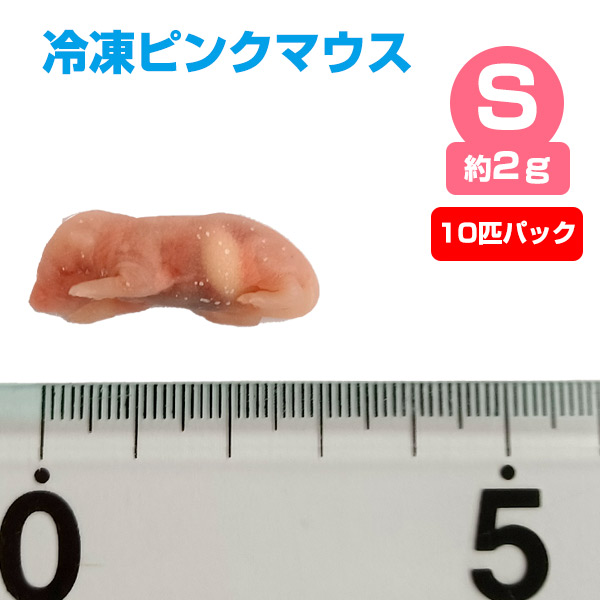 冷凍】 冷凍ピンクマウス Sサイズ（約2g）10匹パック【クール便発送】【常温商品との同梱不可】（NK） 熱帯倶楽部 フェレットワールド WEB  SHOP