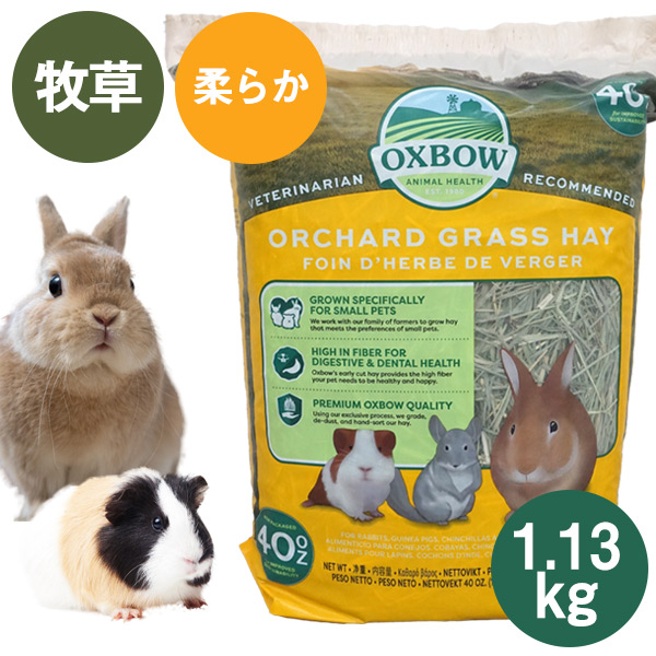 お取り寄せ】OXBOW オーチャードグラスヘイ1.13kg （T2）（NKK） 熱帯倶楽部 フェレットワールド WEB SHOP